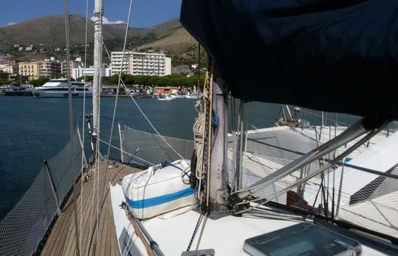 Polaris 33 Aninha