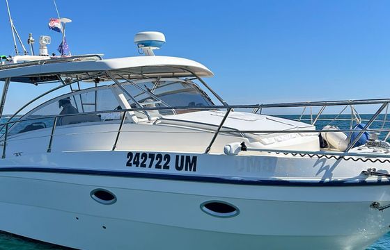Polyform Triakis C30 Divina