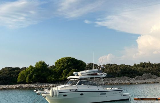 Polyform Triakis C30 Divina