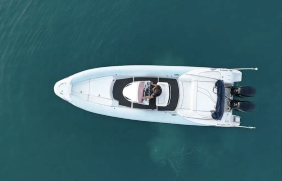 Ribeye 930 Rib
