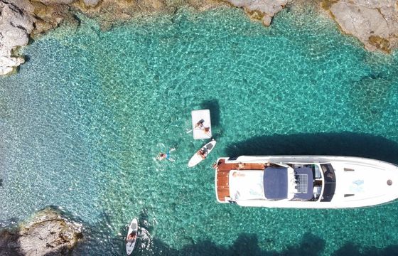 Princess V55 Whale Tale