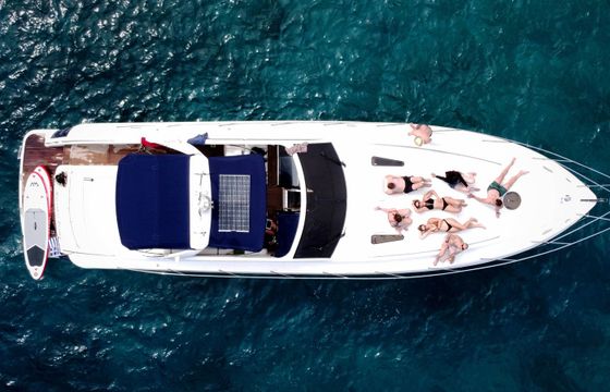 Princess V55 Whale Tale