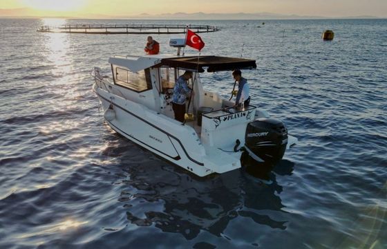 Quicksilver 805 Plana