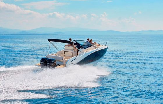 Quicksilver 875 Sundeck 22
