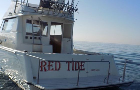Rodman 1250 Red Tide