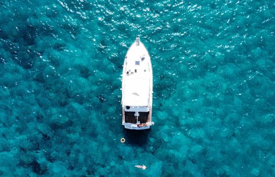 Rampage 38 Tonina Cruises