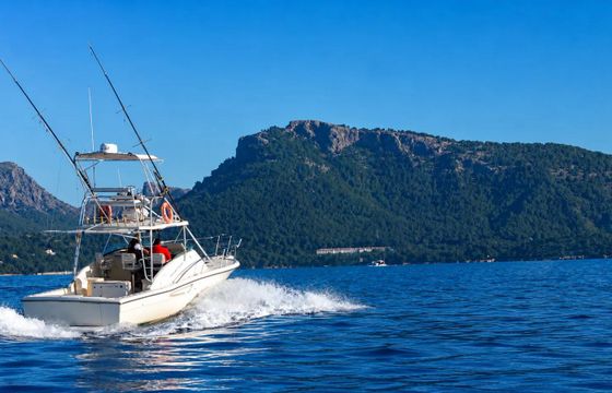 Pursuit Offshore 3000 Mystic
