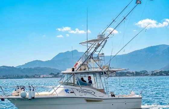 Pursuit Offshore 3000 Mystic