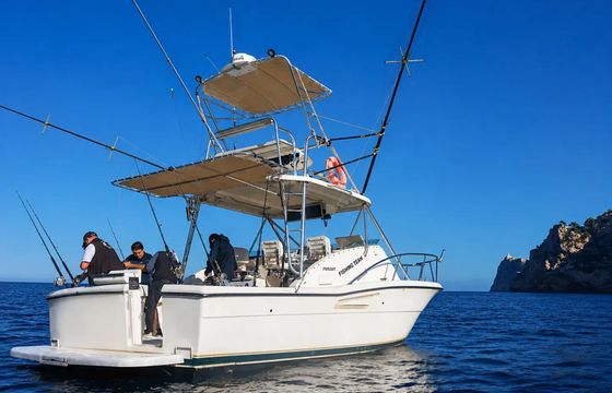 Pursuit Offshore 3000 Mystic