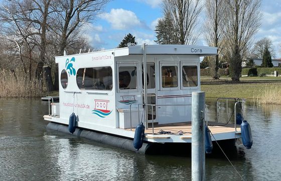 Rollyboot Max Cora