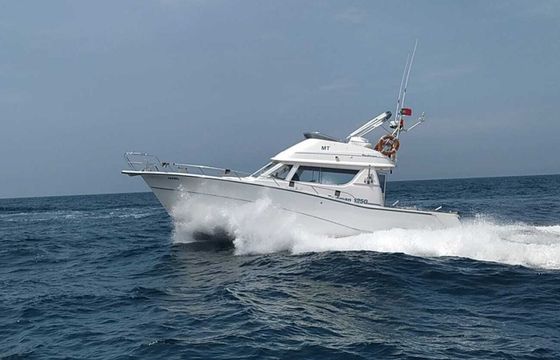 Rodman 1250 Zafiro