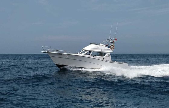 Rodman 1250 Zafiro