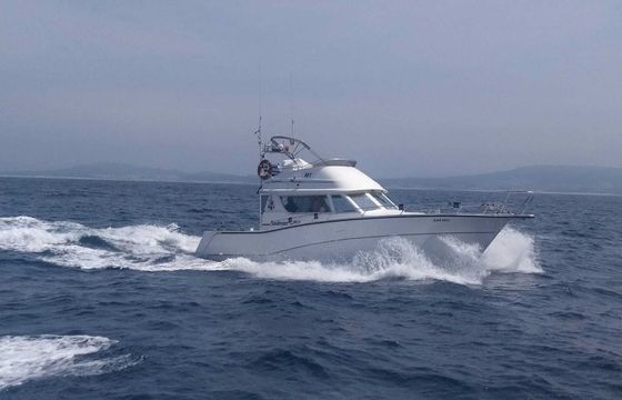 Rodman 1250 Zafiro