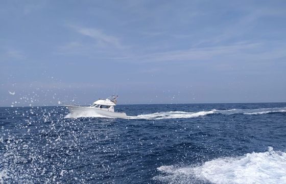 Rodman 1250 Zafiro