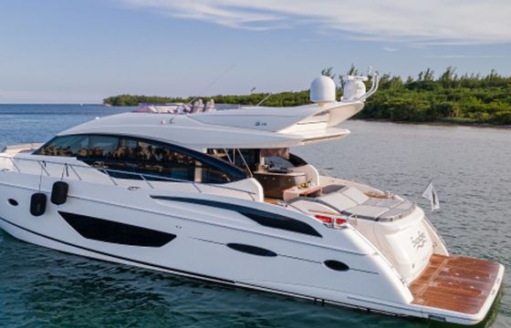 Princess 74 Snowbird