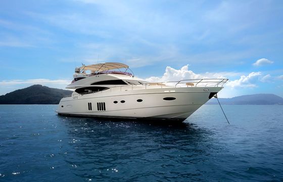 Princess 78F Reignwood Senior