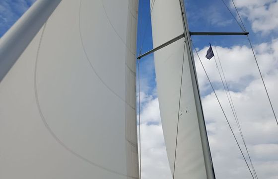Salona 380 Navis Celere