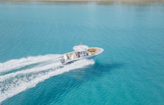 Pronautica 880 Sport Open Evinrude