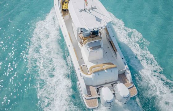 Pronautica 880 Sport Open Evinrude