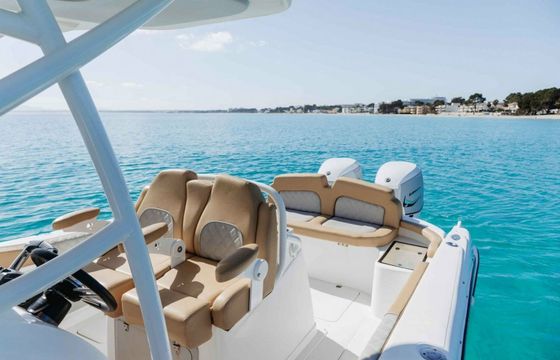 Pronautica 880 Sport Open Evinrude