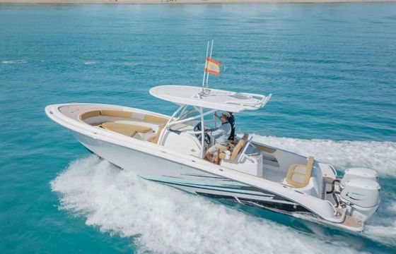 Pronautica 880 Sport Open Evinrude