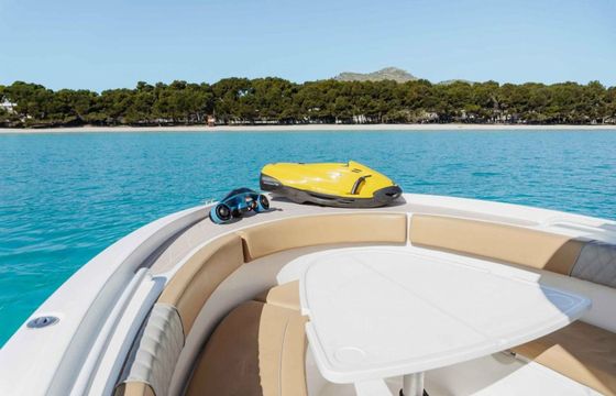 Pronautica 880 Sport Open Evinrude