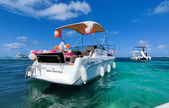 Rinker Fiesta 260 Roka Nautica
