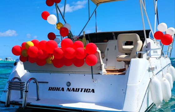 Rinker Fiesta 260 Roka Nautica