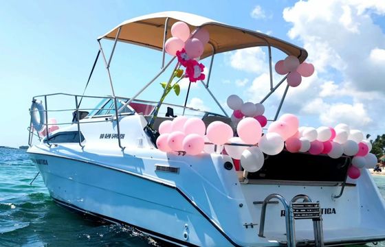 Rinker Fiesta 260 Roka Nautica