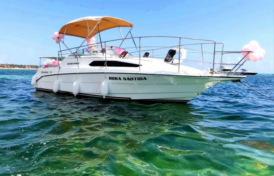 Rinker Fiesta 260 Roka Nautica