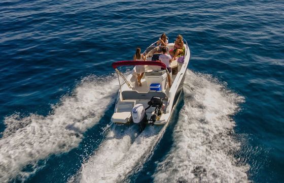Salpa Sunsix Lydia