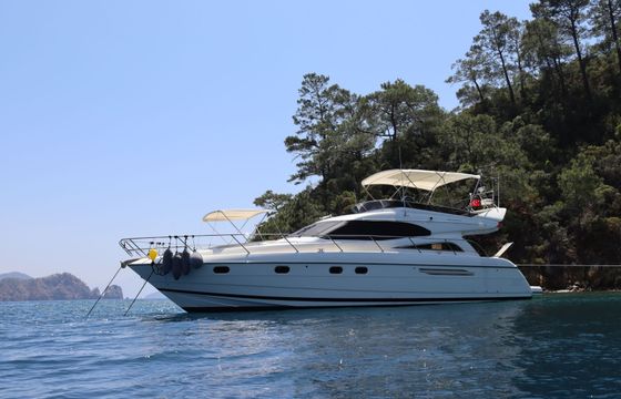 Princess 56 NateWhite