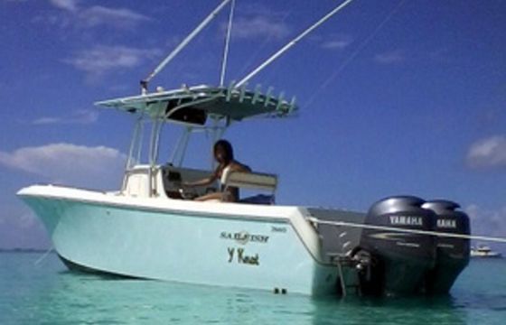 Sailfish 26 Y Knot