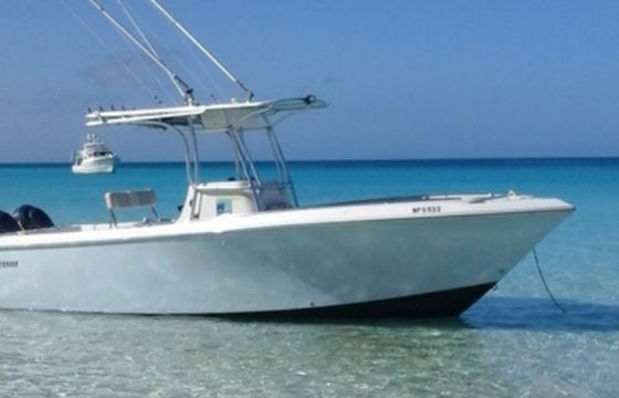 Sailfish 26 Y Knot