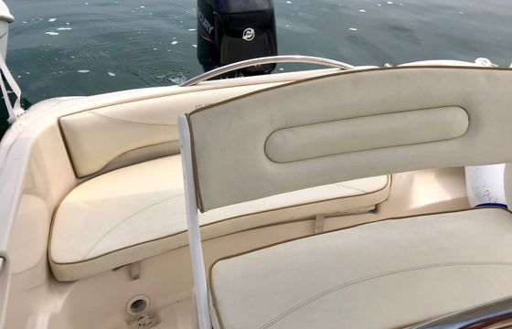 Ranieri 17 Shark