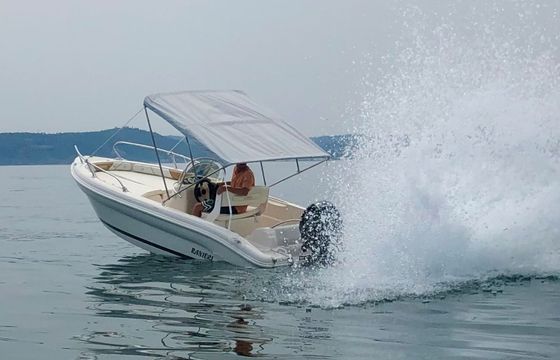 Ranieri 17 Shark