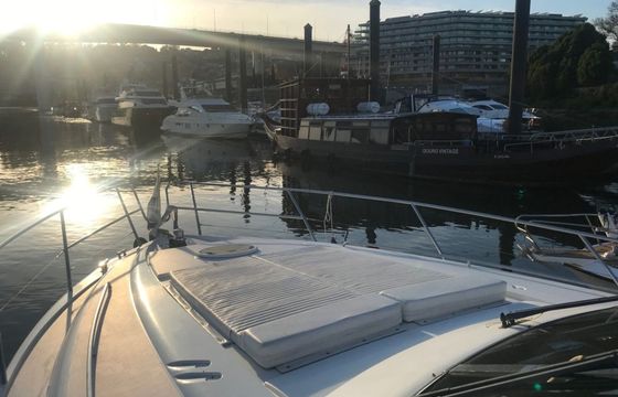 Princess 56 Orcinus