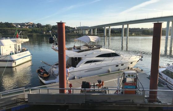 Princess 56 Orcinus