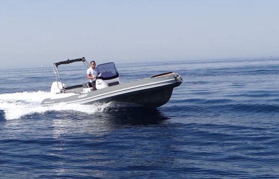 Salpa 23 Alexander