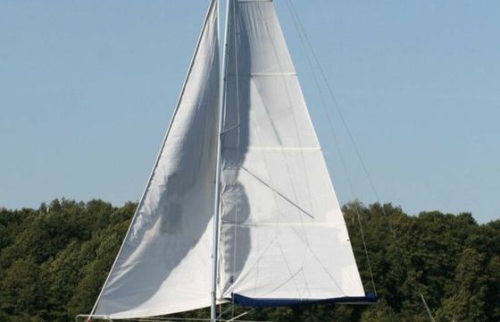 Sasanka 660 Cyranka 1