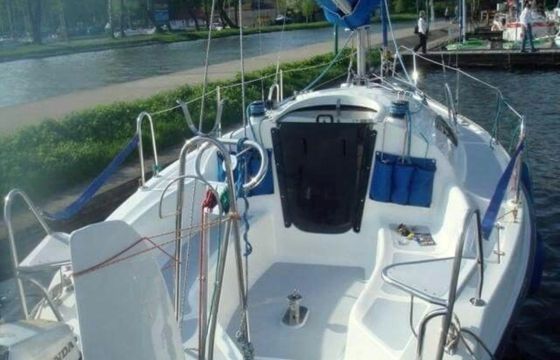 Sasanka 660 Cyranka 1