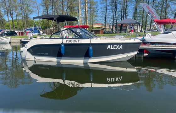 Quicksilver 555 Alexa