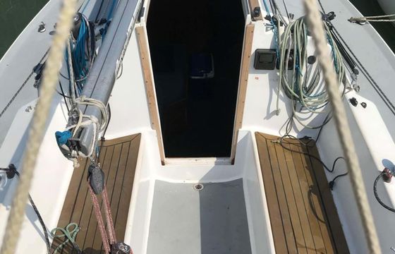 Regina 30 Moby Dick