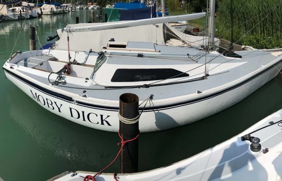 Regina 30 Moby Dick