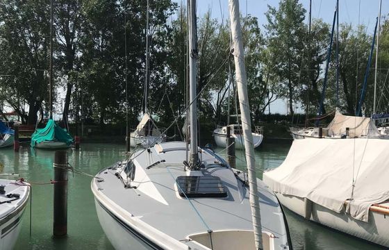 Regina 30 Moby Dick