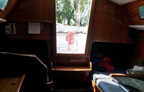 Regina 30 Moby Dick