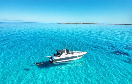 Princess V50 Yara