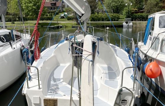 Sasanka 660 Umbriaga