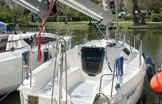 Sasanka 660 Umbriaga