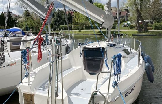 Sasanka 660 Umbriaga